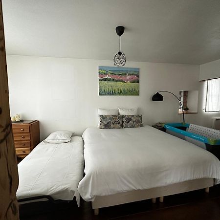 Parenthese Alsacienne Apartment Schiltigheim Ngoại thất bức ảnh