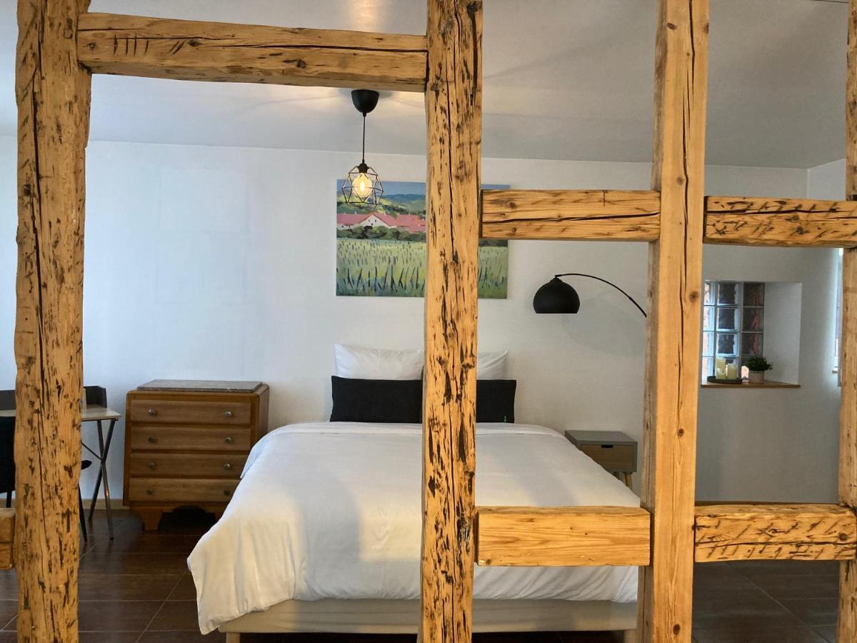 Parenthese Alsacienne Apartment Schiltigheim Ngoại thất bức ảnh