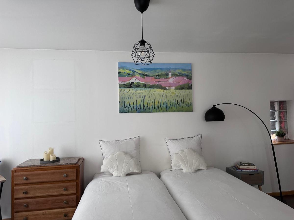 Parenthese Alsacienne Apartment Schiltigheim Ngoại thất bức ảnh